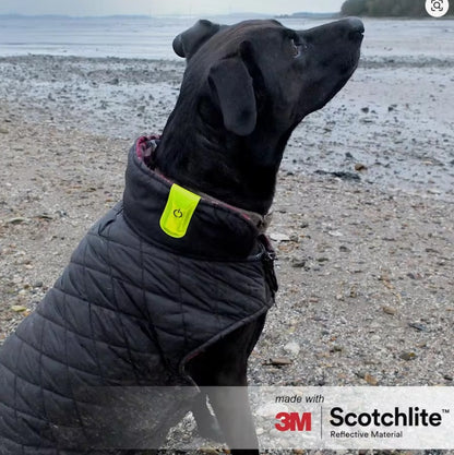 Luz LED Clip Reflectante de Seguridad - Salzmann