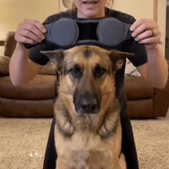 Orejas Protectoras de Ruido para Perros